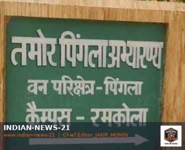 एक चिते की राख अभी ठंडी भी नहीं हुई दूसरी मौत सवालों के घेरे में, लगातार हो रही मौतों का सिलसिला थमने का नाम नहीं ले रहा, फिर से हाथी के हमले में  ग्रामीण की दर्दनाक मौत, वन विभाग की सुरक्षा प्रणाली पर उठे  सवाल..