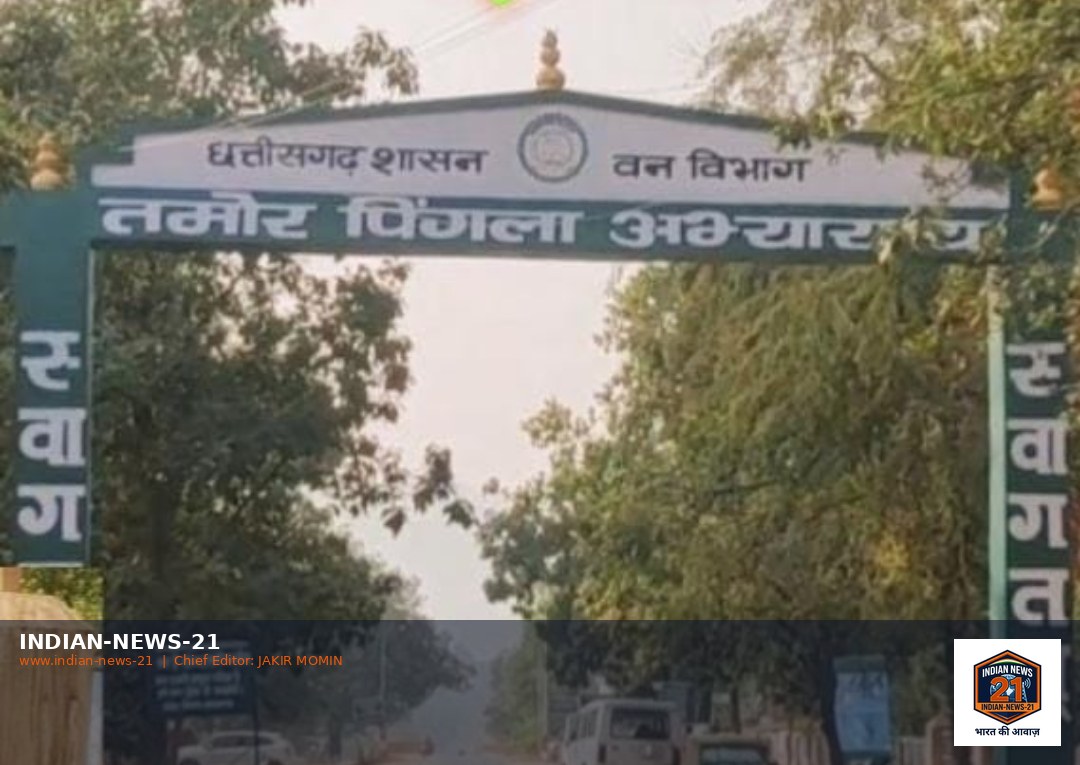 तमोर पिंगला एलीफेंट रिजर्व प्रबंधन की बढ़ती लापरवाही, भेलकच्छ में कबरा कान हाथी का तांडव, हाथी मानव द्वंद के बाद इको वाहन व कई मकानों पर  हमला, लचर कार्यशैली का खामियाजा भुगतने क्षेत्र के आम नागरिक हुवे मजबूर  …..